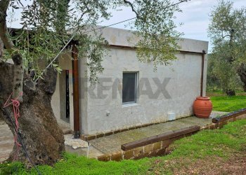 Casa all\'aperto - Villa Macchiaria
 
SNC, Vieste - foto 22