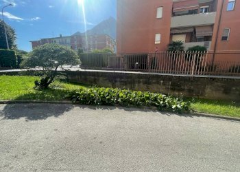Interno Condominio - Trilocale via Casnedi
 
14, Valmadrera - foto 49
