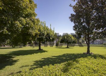Giardino - Villa via strada mezzanotte
 
11b, Cassino - foto 11
