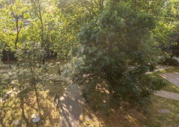 Giardino - One-room apartment Bologna (neighborhood Bolognina) - photo 19