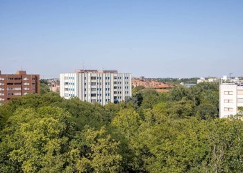 Vista - Three-room apartment Bologna (neighborhood Lame) - photo 15