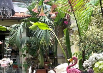 patio - Three-room apartment vicolo Savelli, 20, Roma (neighborhood Centro Storico) - photo 18