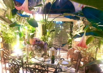 patio - Three-room apartment vicolo Savelli, 20, Roma (neighborhood Centro Storico) - photo 23