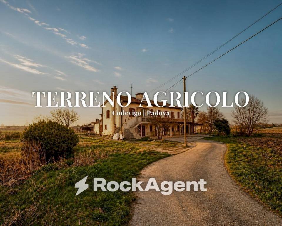 Terreno - Agricultural land via Bosco, 29, Codevigo - photo 1