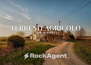 Terreno - Agricultural land via Bosco, 29, Codevigo - photo 1