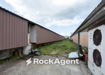 Terreno - Capannone via Antonio Meucci, 34, Palaia - foto 11