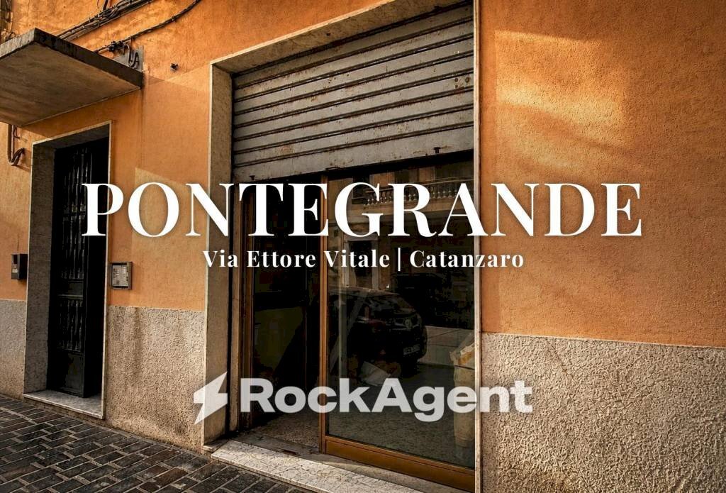 Ingresso - Negozio via Ettore Vitale, 52, Catanzaro - foto 1