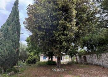Terreno - Building land via San Martinello, 92, Monterotondo - photo 16
