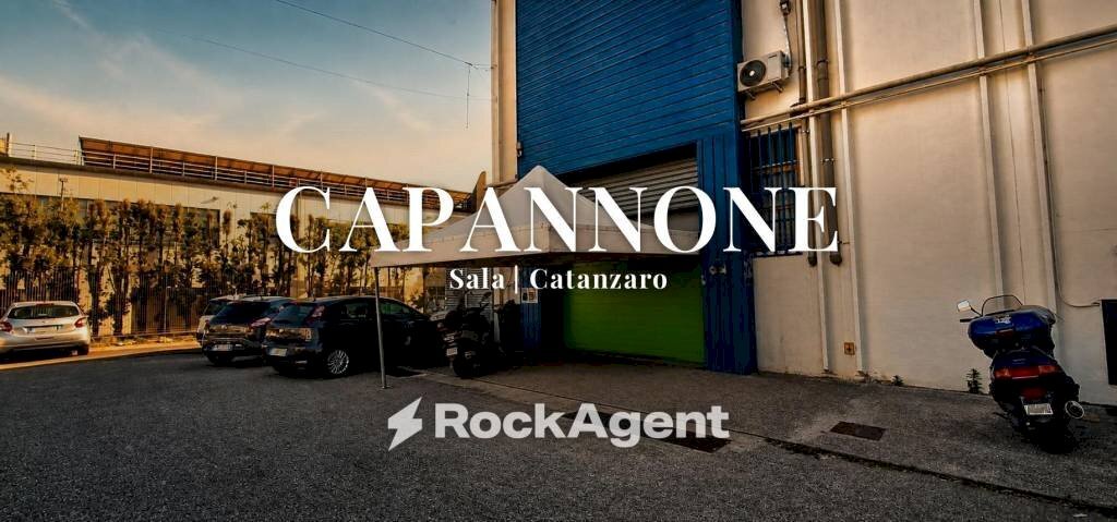 Zona - Capannone viale Lucrezia della Valle, 18, Catanzaro - foto 1