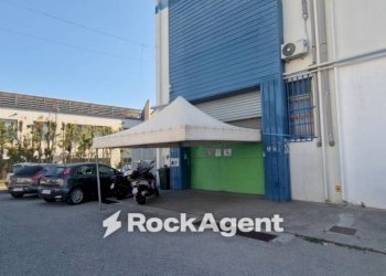Zona - Capannone viale Lucrezia della Valle, 18, Catanzaro - foto 16
