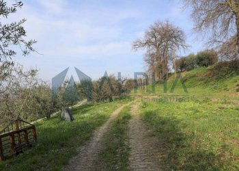Terreno - Villa via Cesena, Longiano - foto 42