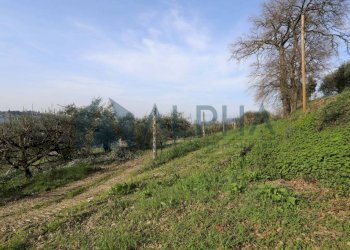 Terreno - Villa via Cesena, Longiano - foto 43