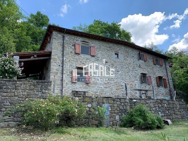1rincinepietra - Casale Londa - foto 1