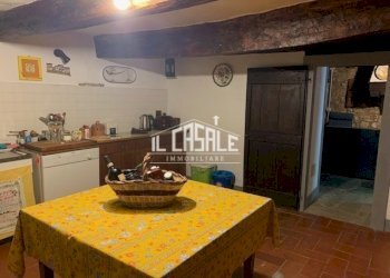 26rincinepietra - Casale Londa - foto 26