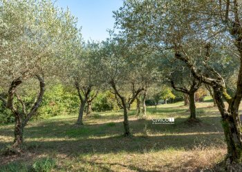 Oliveto - Villa Via Pilla 49, Arcugnano - photo 20