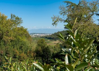 Vista panoramica - Villa Via Pilla 49, Arcugnano - photo 24