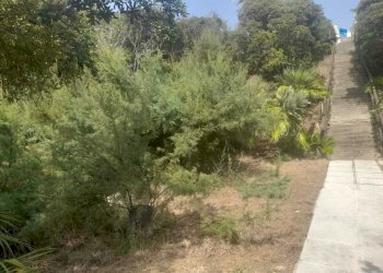 accesso privato spiaggia - Villa Anzio - foto 18