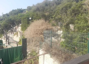 accesso privato spiaggia - Villa Anzio - foto 22