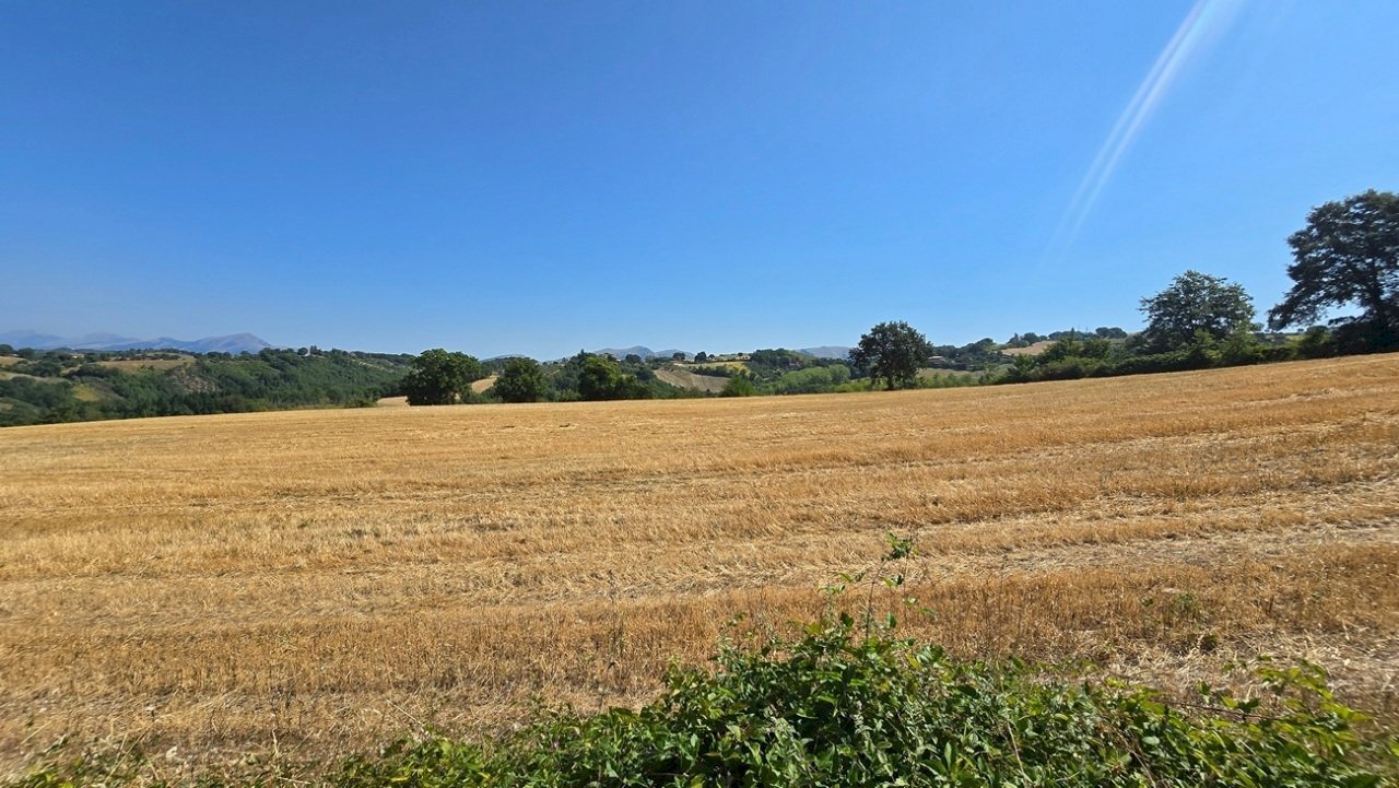 terreno (3) - Casale Morano Osteria, Gualdo Tadino - foto 3