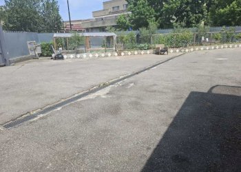 WhatsApp Image 2025-10-24 at 10.34.39.jpeg - Commercial Premises Via Archimede 4, Cinisello Balsamo - photo 13