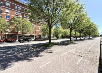 Negozio Corso A. de Gasperi, Cuneo (zona Donatello) - foto 5