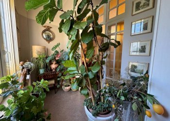 Interno palazzo - Appartamento Viale Antonio Aldini, Bologna (zona Saragozza) - foto 11