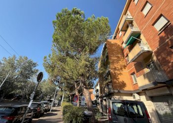 Trilocale via don sturzo, 9, Bologna (zona Funivia) - foto 13