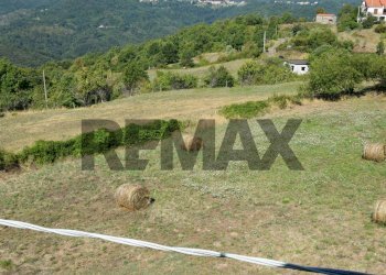 Casale Carro, SP, Carro - foto 22