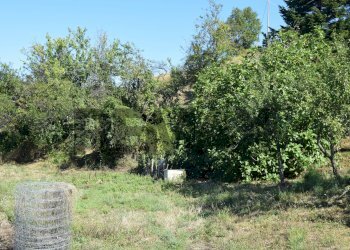 Casale Carro, SP, Carro - foto 40