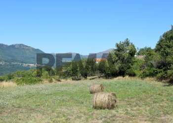 Casale Carro, SP, Carro - foto 41