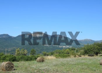 Casale Carro, SP, Carro - foto 42