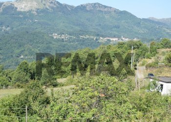 Casale Carro, SP, Carro - foto 46
