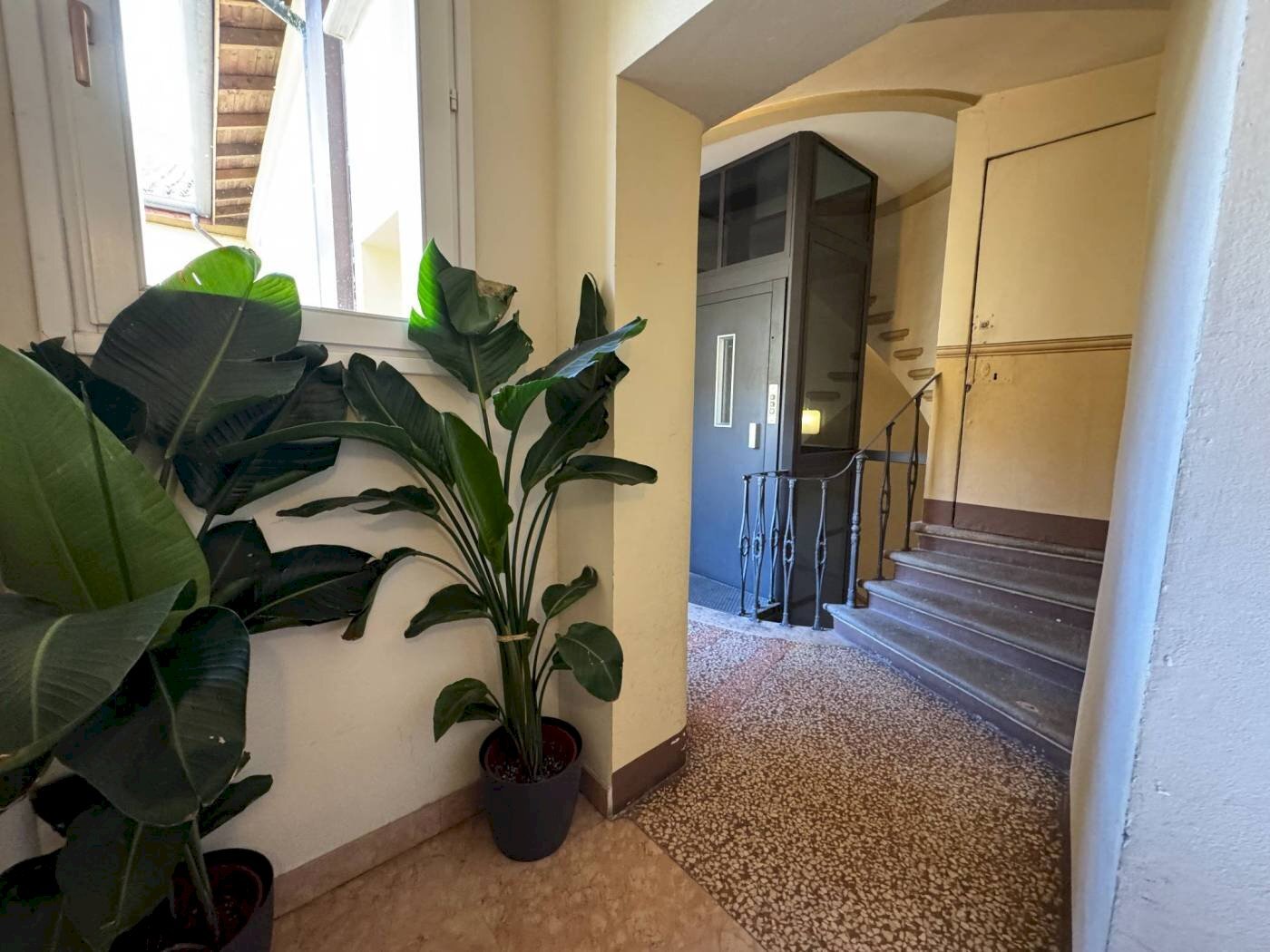 Ingresso - Appartamento Via San Giorgio, Bologna (zona Centro Storico) - foto 3