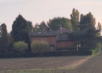 Terreno - Single Family Villa Via Pozzo, Budrio - photo 36