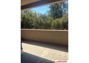 Trilocale Bologna (zona Irnerio) - foto 4