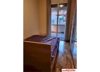 Trilocale Bologna (zona Irnerio) - foto 10