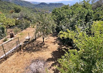 Foto 16 - Appartamento Montorio al Vomano - foto 16