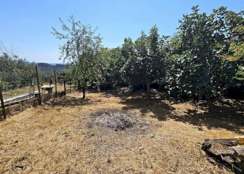 Foto 17 - Appartamento Montorio al Vomano - foto 17