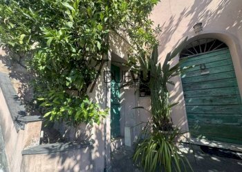 Foto 6 - Casa semi indipendente Via del Borgo, Pietrasanta - foto 6
