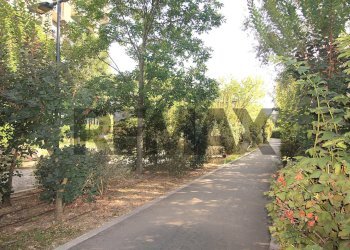 Giardino - Monolocale via pierpaolo pasolini
 
84, Milano - foto 9