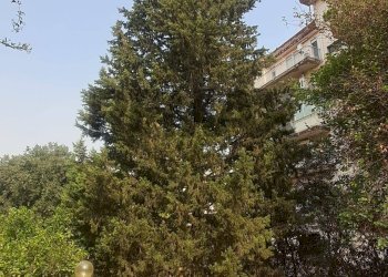 Giardino - Appartamento Via Alcide De Gasperi
 
9, Paterno - foto 85