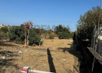 Giardino - Terreno agricolo VIA BOLOGNA
37, Mascalucia - foto 3