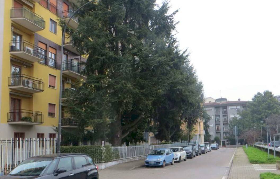 Foto 1 - Bilocale via IV Novembre
 
31, Cologno Monzese - foto 1