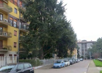 Foto 1 - Bilocale via IV Novembre
 
31, Cologno Monzese - foto 1