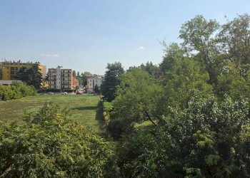 Foto 14 - Bilocale Via Frosinone
 
18, Milano - foto 14