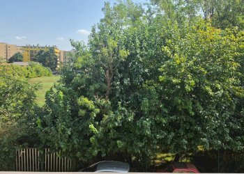 Foto 28 - Bilocale Via Frosinone
 
18, Milano - foto 28