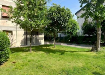 Giardino - Appartamento Via Rovani
 
2, Reggio nell'Emilia - foto 20