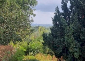Vista - Rustico via Sant'Ambrogio, 30, Incisa Scapaccino - foto 17
