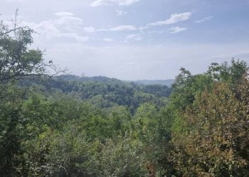 Terreno - Rustico via Sant'Ambrogio, 30, Incisa Scapaccino - foto 28