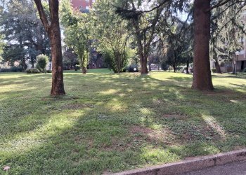 Foto 4 - Trilocale Via F. Guardi, Cinisello Balsamo - foto 4